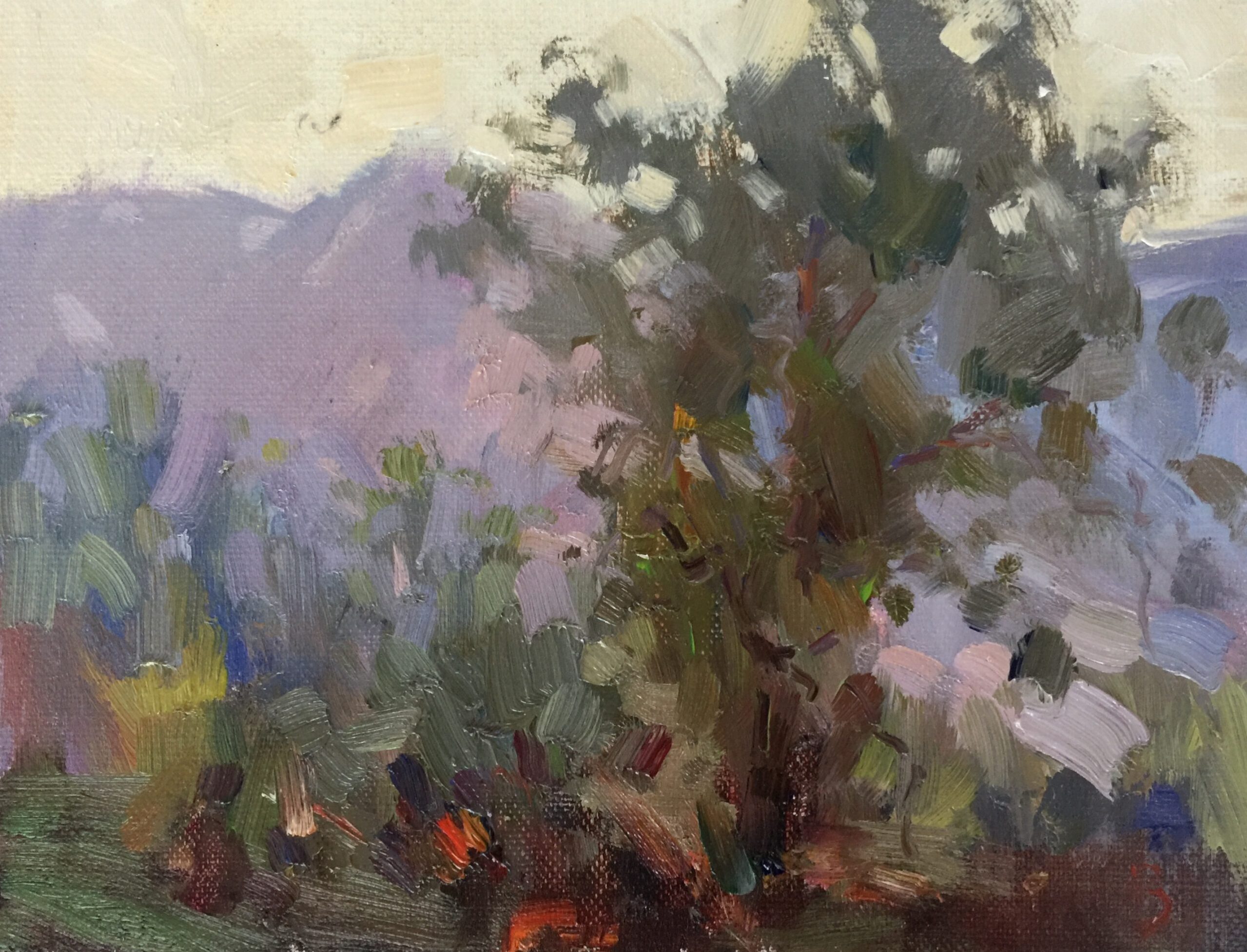 Cat. No. 1433 On The Mountain Montenegro - 21.5cm x 28cm - Oil on Canvas - 2021